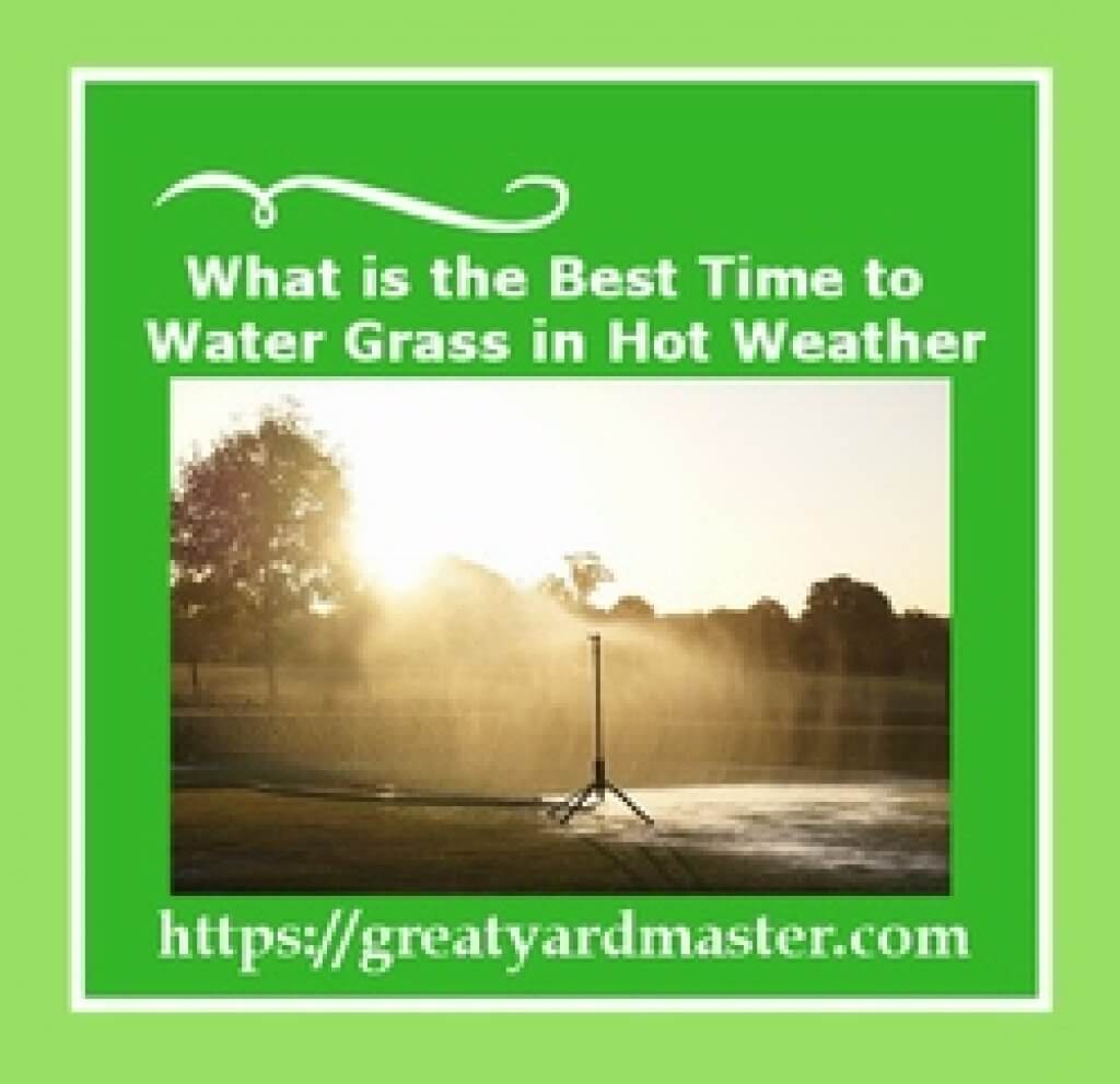 What Best Time to Water Grass in Hot Weather? Great Yard Master