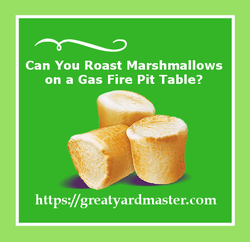 can you roast marshmallows on a gas fire pit