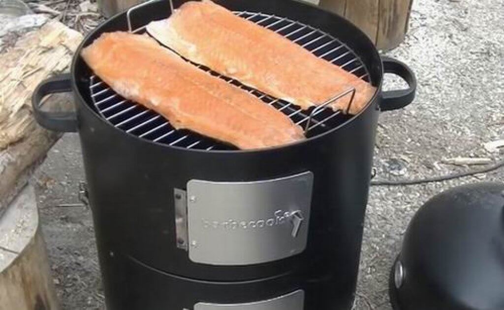 6 Best Smoker for Fish 2024! Electric vs Coal vs Gas GreatYardMaster