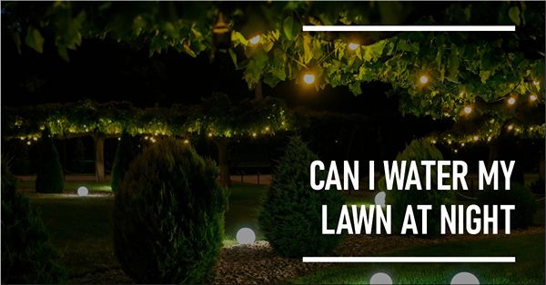 can i water my lawn at night