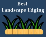 Best Landscape Edging – Buyer’s Guide