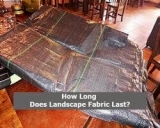How Long Does Landscape Fabric Last?