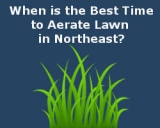 When is the Best Time to Aerate Lawn in Northeast?
