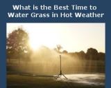 What is the Best Time to Water Grass in Hot Weather